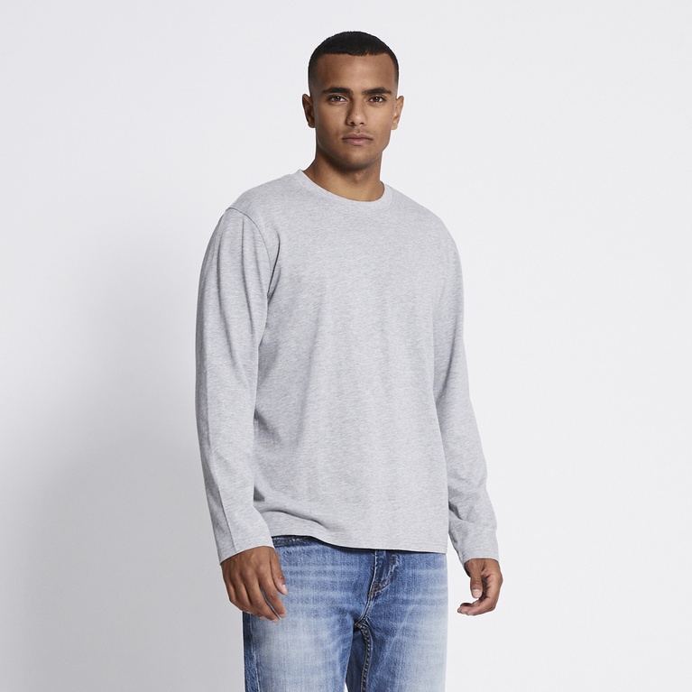 Long sleeve tee "Lion" Grey Melange